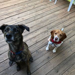 Meet your Posher, Kaitlyn